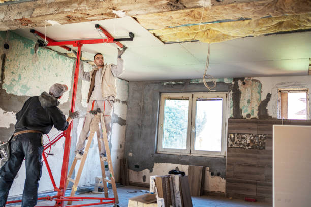 Best Insulation Maintenance and Repair in Shawnee, KS